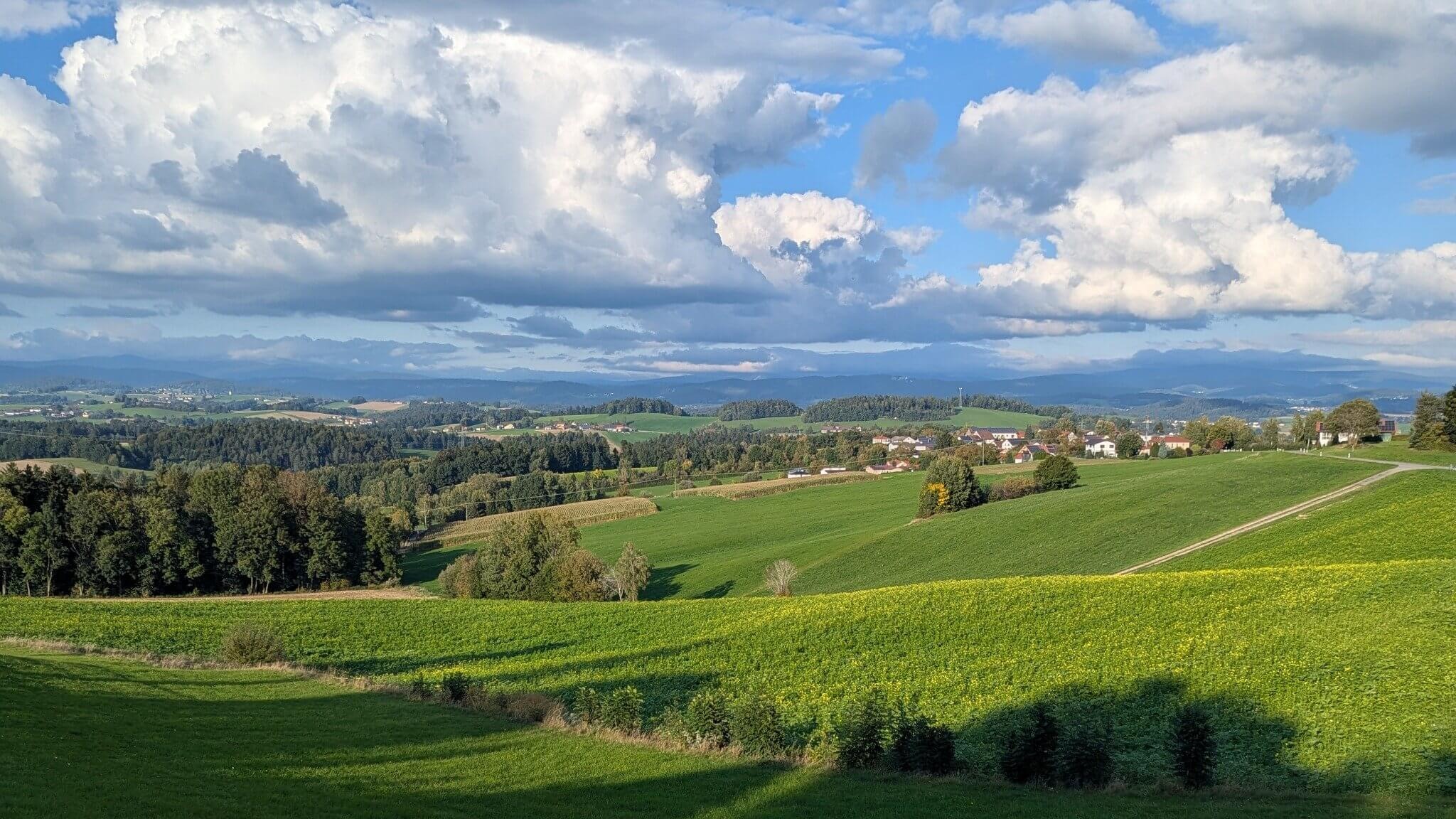 _Ehrlich. Miteinander. Zukunft im Blick._